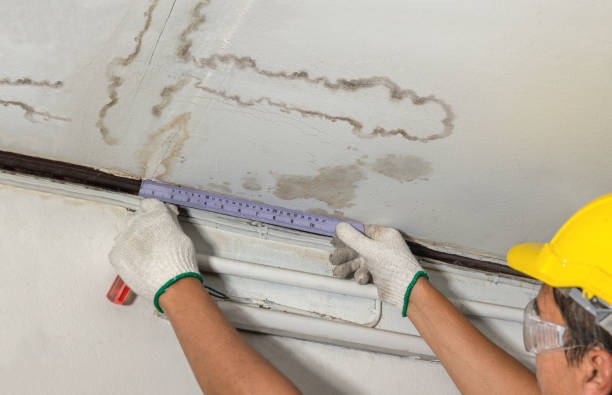 Reliable Mold Remediation contractor in Santa Rosa, NM by Water Damage Irwin
